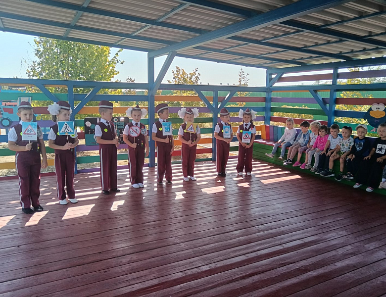 Единый день безопасности дорожного движения
